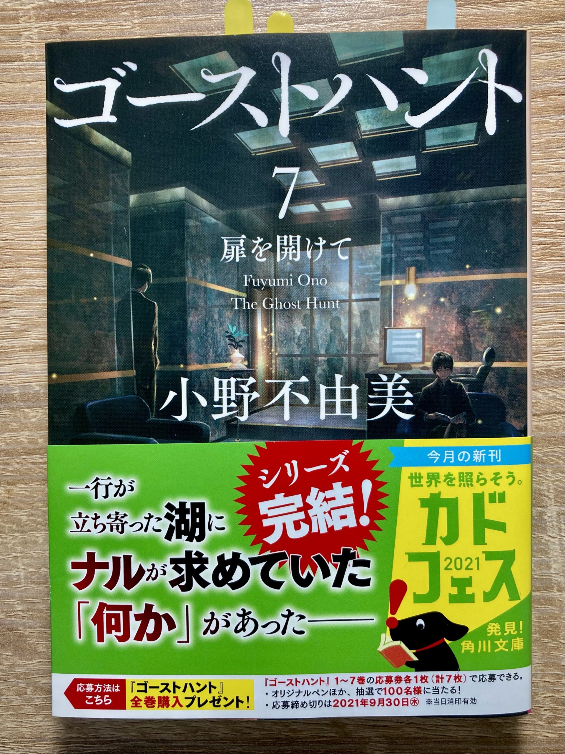 悪霊シリーズ完結作 1作目からの伏線を見事に回収して大団円 ジーンは最後に何を伝えたかった 麻衣の最後の言葉は ゴーストハント７ 扉を開けて 小野不由美先生 ネタバレ注意